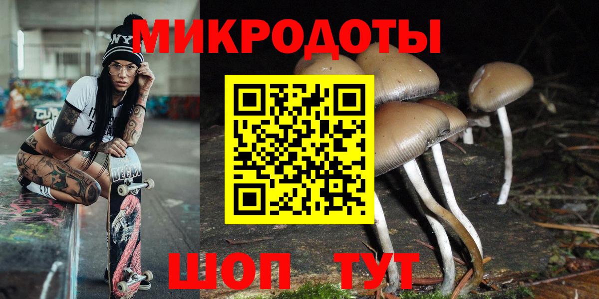 Псилоцибиновые грибы GOLDEN TEACHER  Вход с VPN  Ахтубинск 